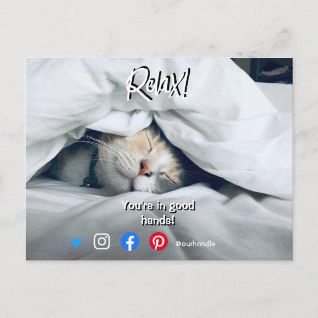 drôle carte postale de l'immobilier détendu chat (Devant)