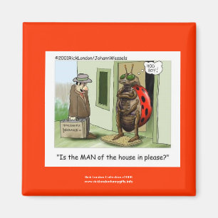 Drôle Carton Ladybug Sur Le Magnet De La Qualité