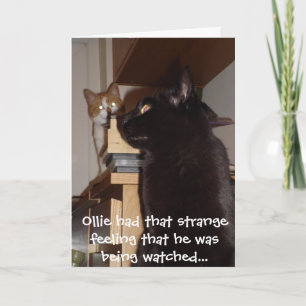 Drôle Chat Carte d'anniversaire 'Etre regardé'