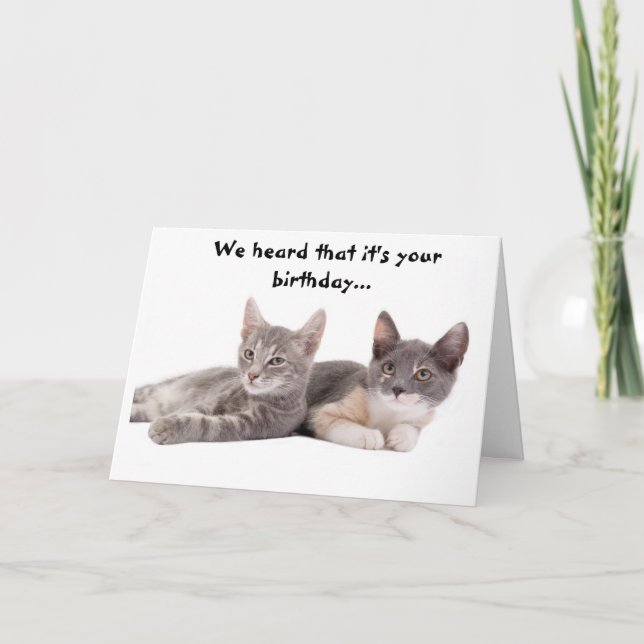 Drôle Chat 'Donnez-nous du thon' Carte d'anniversa (Devant)
