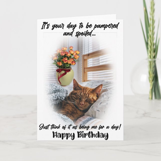 Drôle Chat Dormir Carte de voeux Anniversaire (Devant)