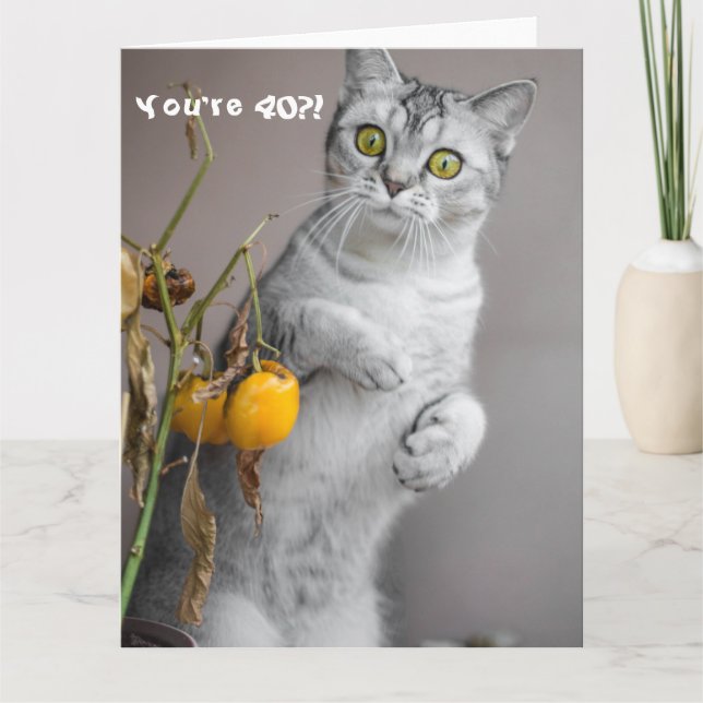 Drôle Chat Heureux 40e Anniversaire Carte (Devant)