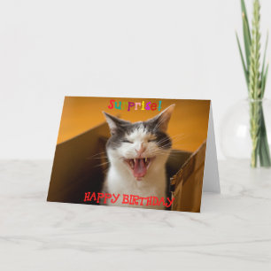 Drôle Chat mignon dans une boîte Carte de voeux An