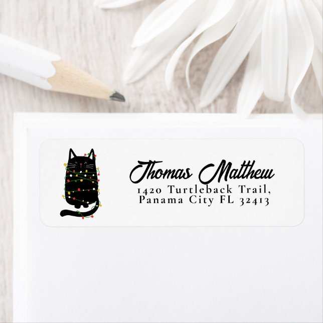 Drôle Chat Noir Tangé Dans La Lumière De Noël (En situation)