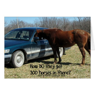 Drôle Cheval "300 Cheval"