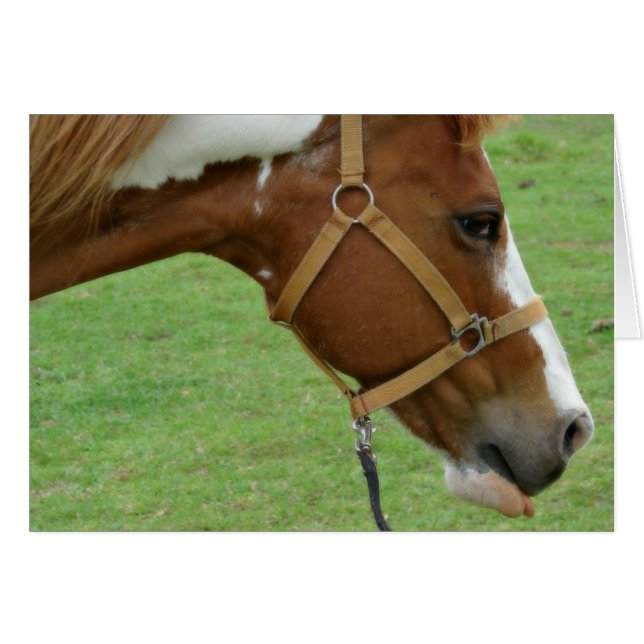 Drôle Cheval Flashy (Devant horizontal)