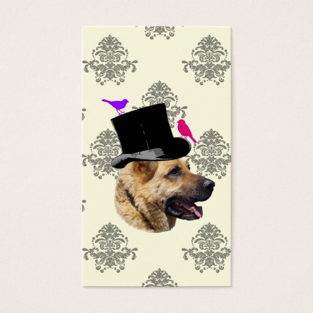 Drôle chien berger allemand (Devant)