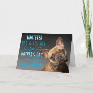 Drôle chien citant la carte de la fête des mères d