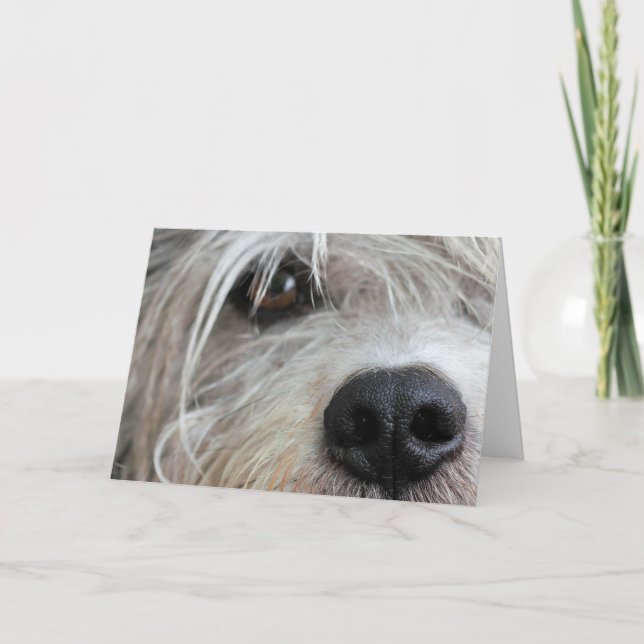 Drôle Chien face vers le haut fermer carte d'anniv (Devant)