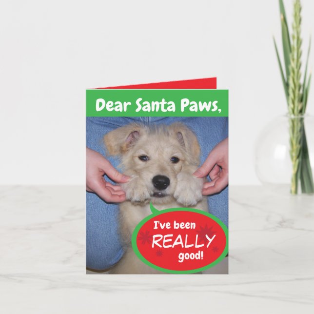 Drôle Chien Père Noël Paws Carte de voeux pliée de (Devant)