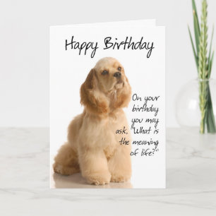 Drôle Cocker Spaniel Carte d'anniversaire