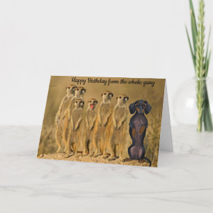 Drôle Dachshund Carte Anniversaire Du Gang
