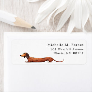 Drôle Dachshund Chien Chien de Chien Retourné