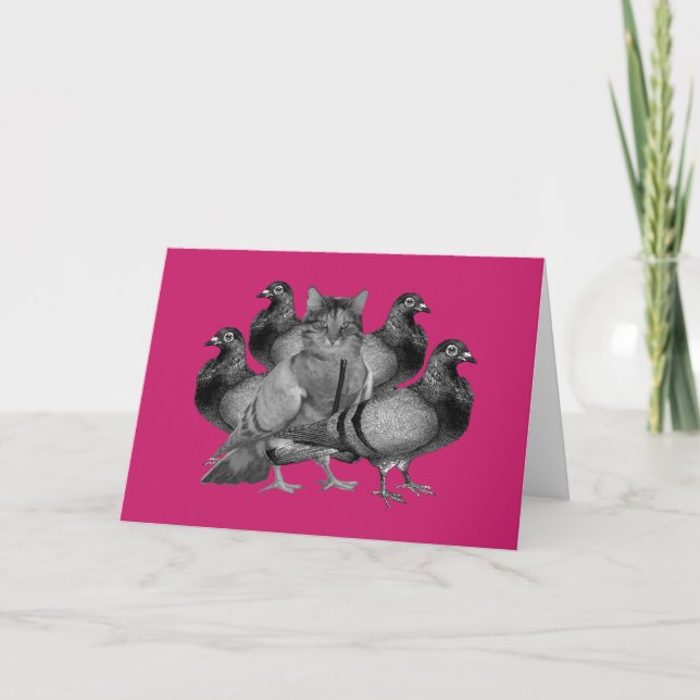 drôle de chat parmi les pigeons carte de vacances (Devant)
