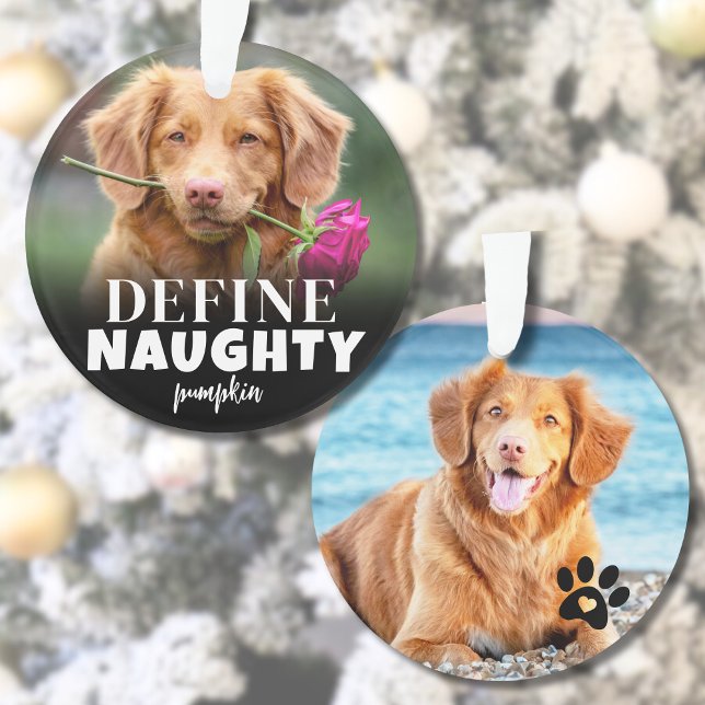 Drôle de Photo Animal de Noël 2 (Cute Define Naughty Dog Photo Ornament)