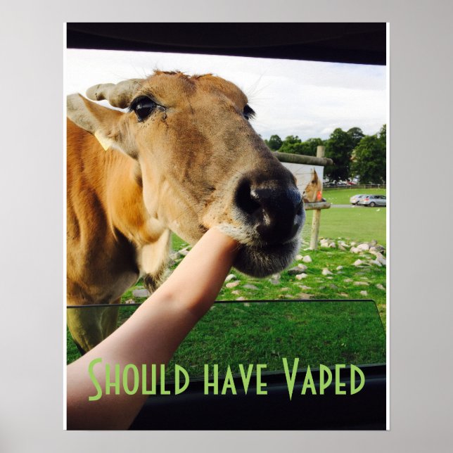 Drôle devrait avoir Vaped poster (Devant)