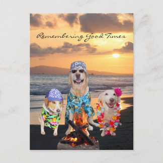 Drôle Dog Graduation Party on the Beach Carte post