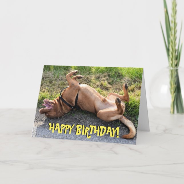 Drôle dogue de bordeaux carte d'anniversaire (Devant)