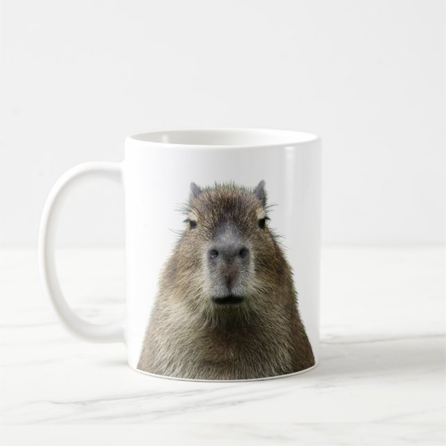 Drôle et mignonne expression de la mug de capybara (Gauche)