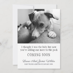Drôle Faire-part de grossesse de chien