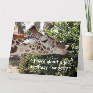 Drôle Giraffe Carte d'anniversaire, smooch d'anniv