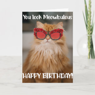 Drôle Glamour Chat Carte de voeux Anniversaire 