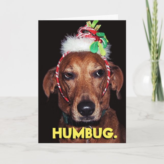 Drôle HUMBUG chien carte de Noël (Devant)