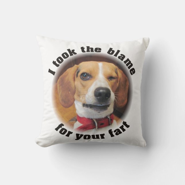 Drôle j'ai pris le blâme pour votre coussin de (Recto)