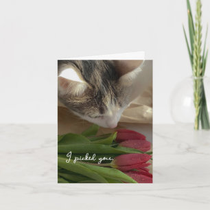 Drôle Je T'Aime de la Carte du Chat