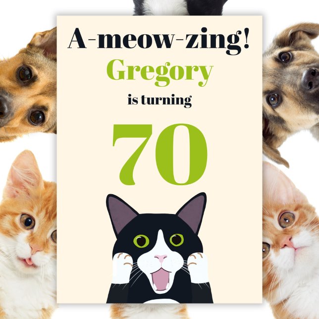 Drôle jeu de chat 70e anniversaire invitation (Créateur téléchargé)
