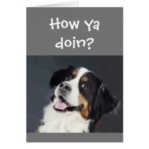 Drôle Léger de penser à vous mignon chien