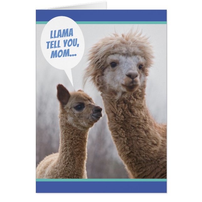 Drôle Llama Dis-toi, carte de fête des mères (Devant)