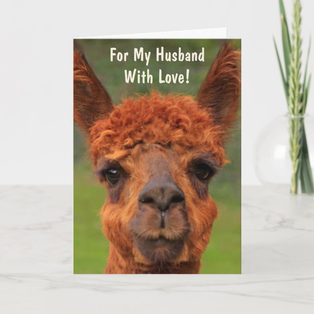 Drôle Llama "Pour Mon Mari" Carte d'Anniversaire (Devant)