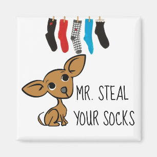 Drôle M. Voler Vos Chaussettes Aimant Chihuahua