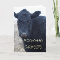 Drôle Merci mignon vache noir