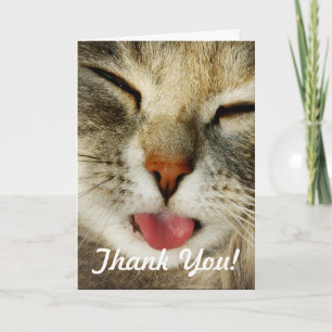 Drôle mignon Carte de remerciements photo de chat