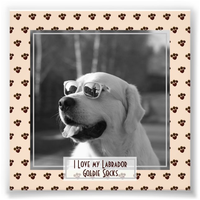 Drôle mignon Golden Labrador Retriever PHOTO Nommé (Devant)