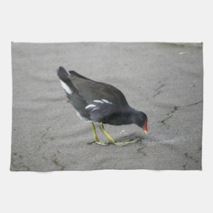 Drôle Moorhen Prenez une serviette de cuisine Bow