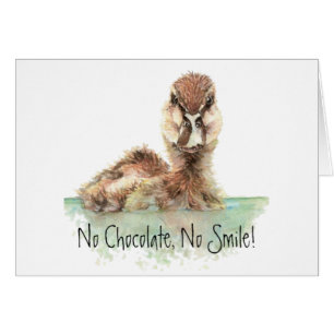 Drôle, Pas De Chocolat, Pas De Sourire, Canard En 