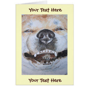 drôle photo d'akita souriant mignon chien