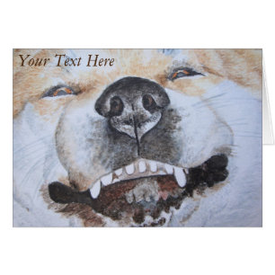 drôle photo d'akita souriant mignon chien