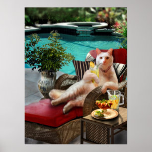 Drôle Poster Animaux de Compagnie Chat Vacances de