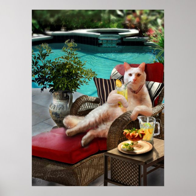 Drôle Poster Animaux de Compagnie Chat Vacances de (Devant)