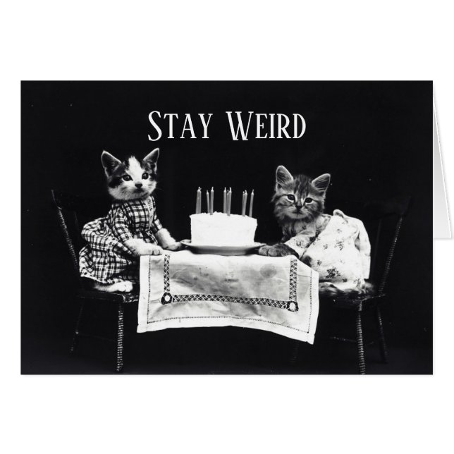 Drôle rester bizarre vintage anniversaire chatons  (Devant horizontal)