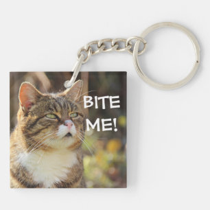 Drôle Sassy Chat avec Attitude Bite Me