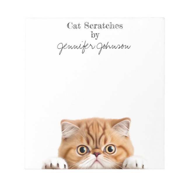 Drôle Tabby Tabby Gingembre Orange Bloc-notes (Devant)