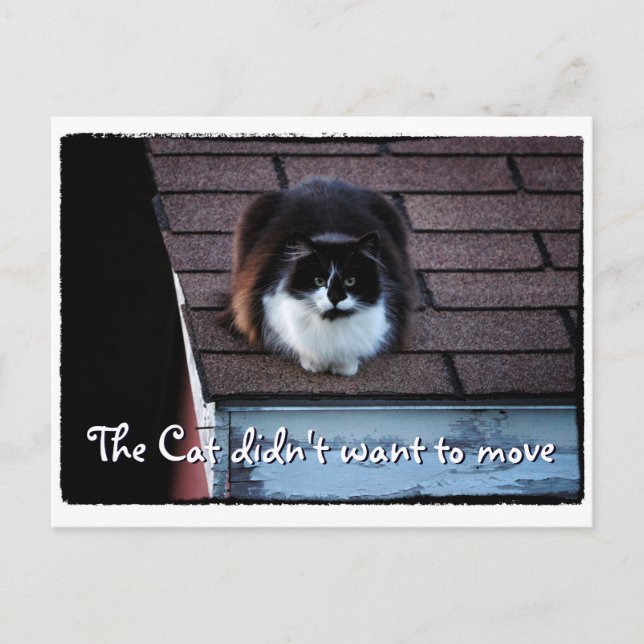 Drôle Tuxedo Chat sur le toit Faire-part de déplac (Devant)