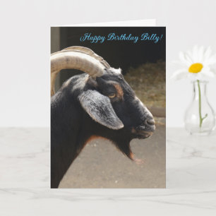 Drôle "Vieux bouc" Bonne carte d'anniversaire