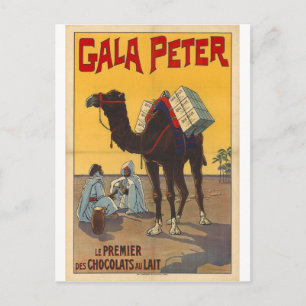 dromedary antique style postcard