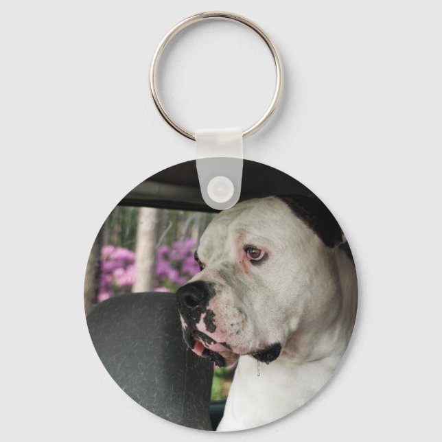 drooling American Bulldog Keychain (Front)